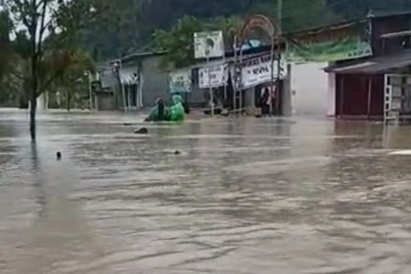 IMG_20250512_114929_125