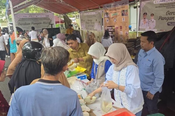 WhatsApp Image 2025-06-27 at 18.13.39