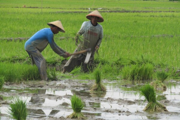 WhatsApp Image 2025-06-28 at 09.54.03