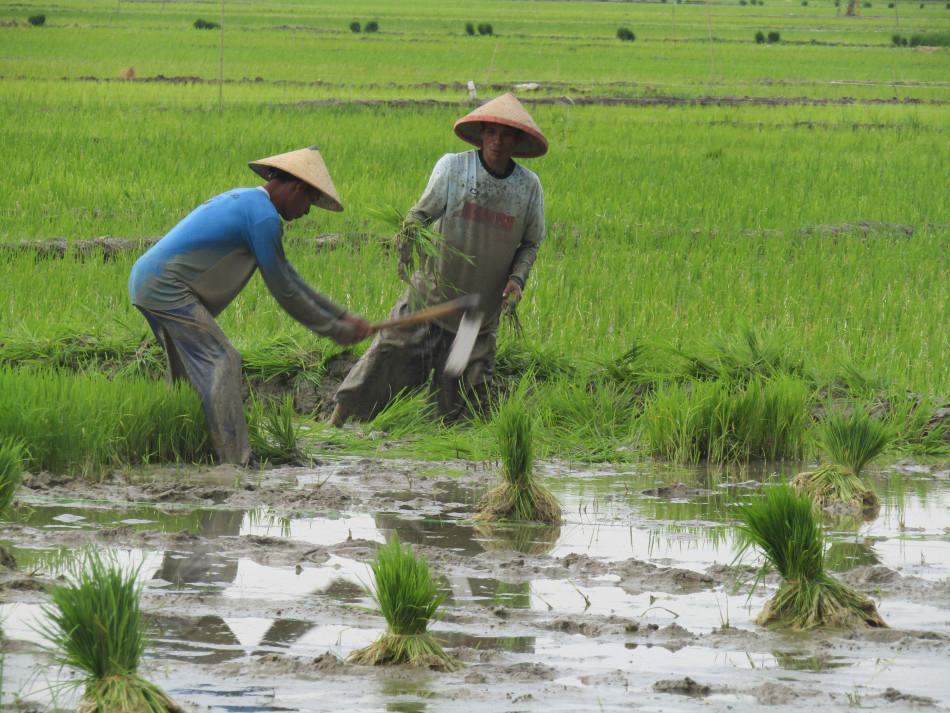 WhatsApp Image 2025-06-28 at 09.54.03