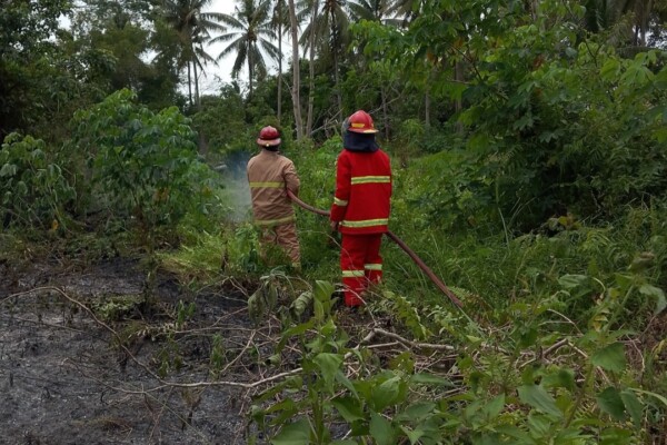 IMG_20250801_063145-min