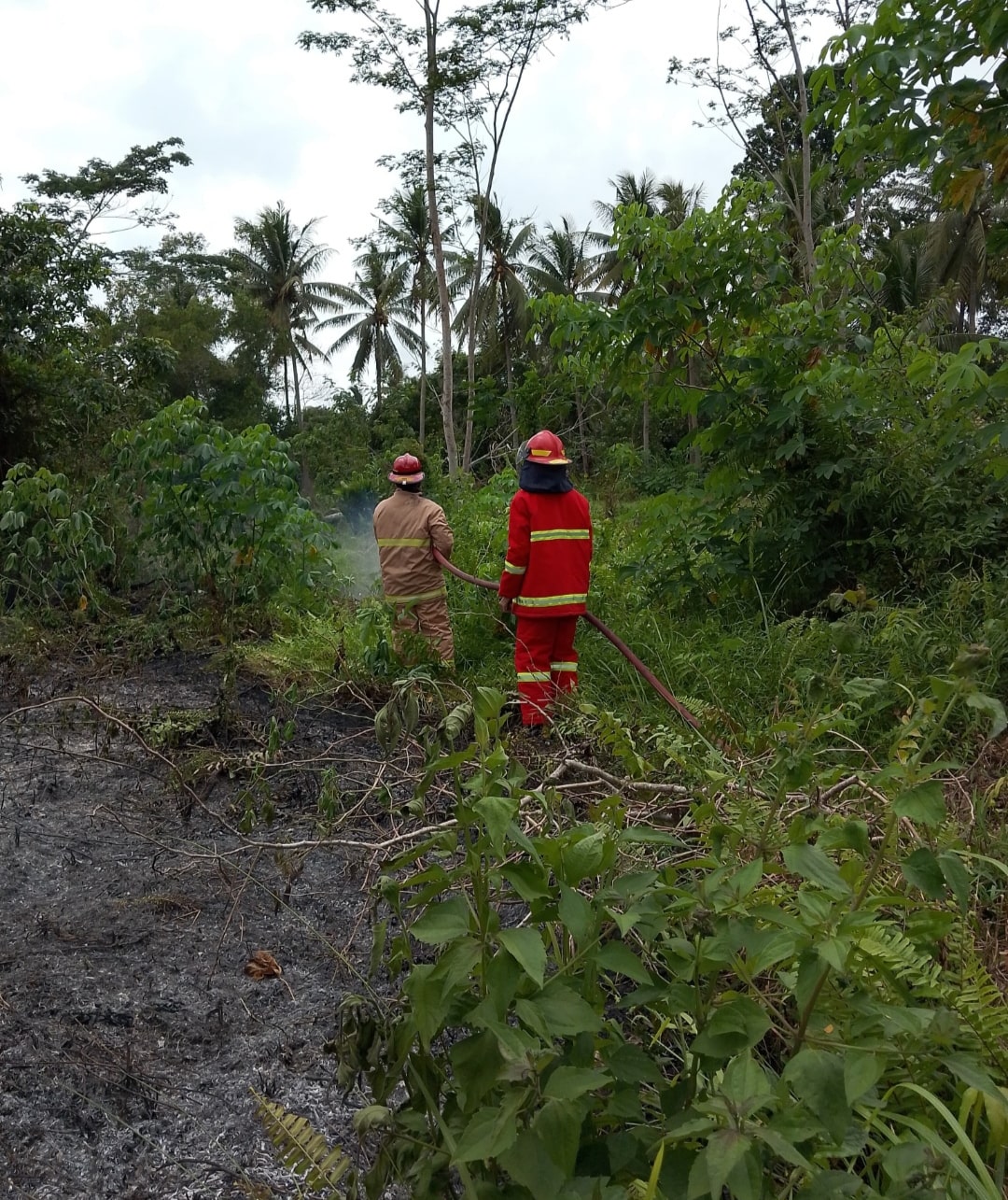 IMG_20250801_063145-min