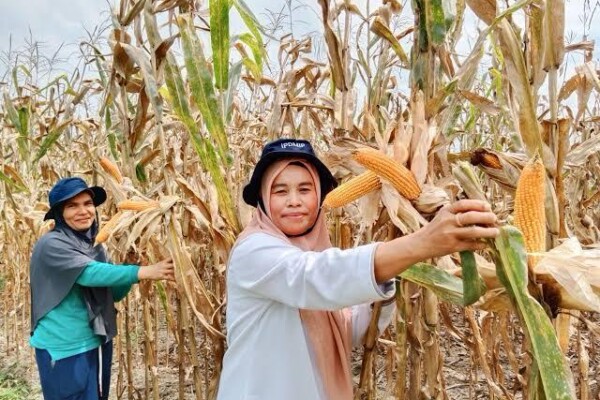 WhatsApp Image 2025-07-01 at 14.28.01