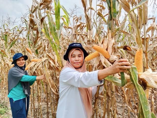 WhatsApp Image 2025-07-01 at 14.28.01