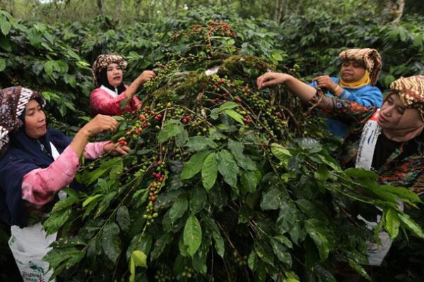 WhatsApp Image 2025-07-01 at 16.18.56