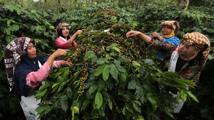 WhatsApp Image 2025-07-01 at 16.18.56