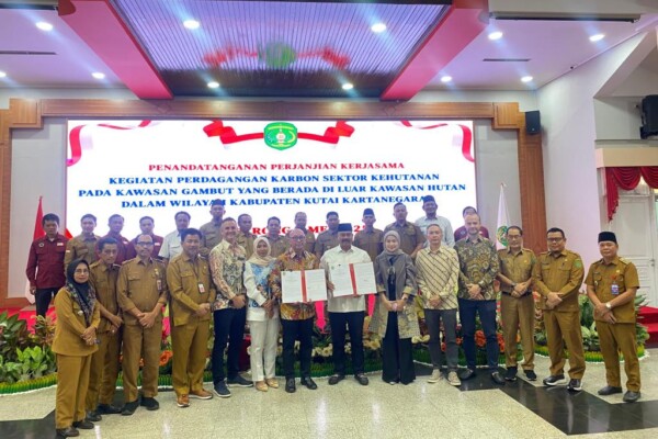 WhatsApp Image 2025-07-01 at 22.12.38