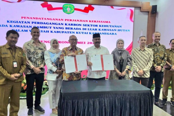 WhatsApp Image 2025-07-01 at 22.23.41