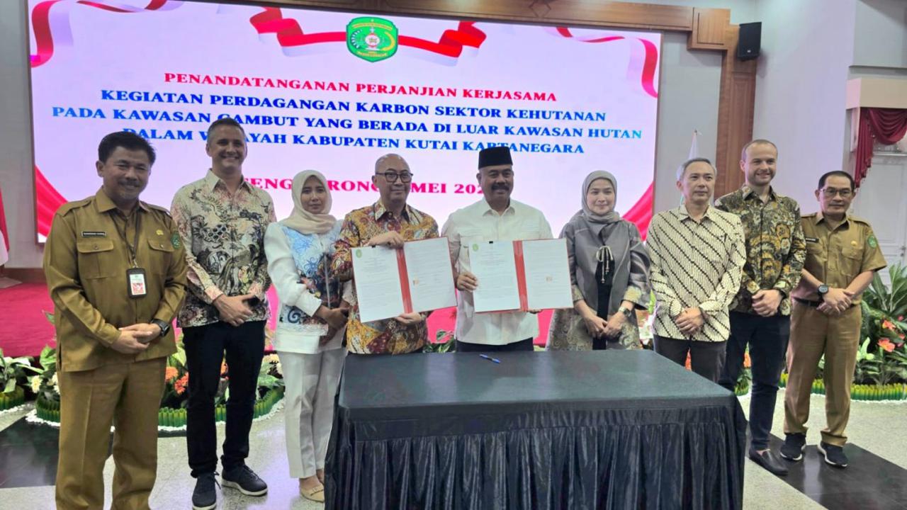 WhatsApp Image 2025-07-01 at 22.23.41