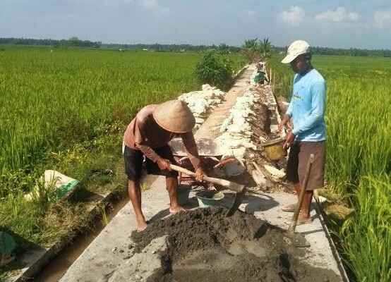 WhatsApp Image 2025-07-01 at 22.29.39