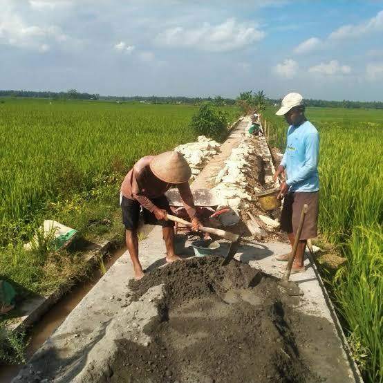 WhatsApp Image 2025-07-01 at 22.29.39