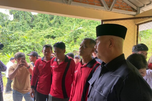 WhatsApp Image 2025-07-01 at 23.07.04