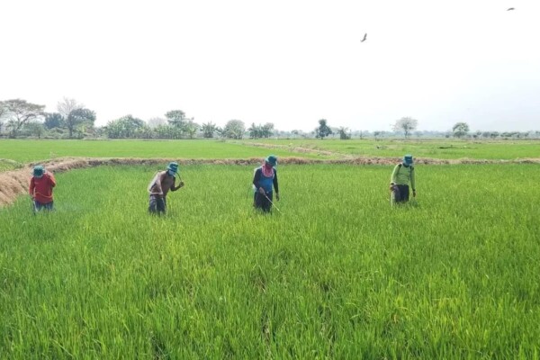 WhatsApp Image 2025-07-06 at 00.51.39