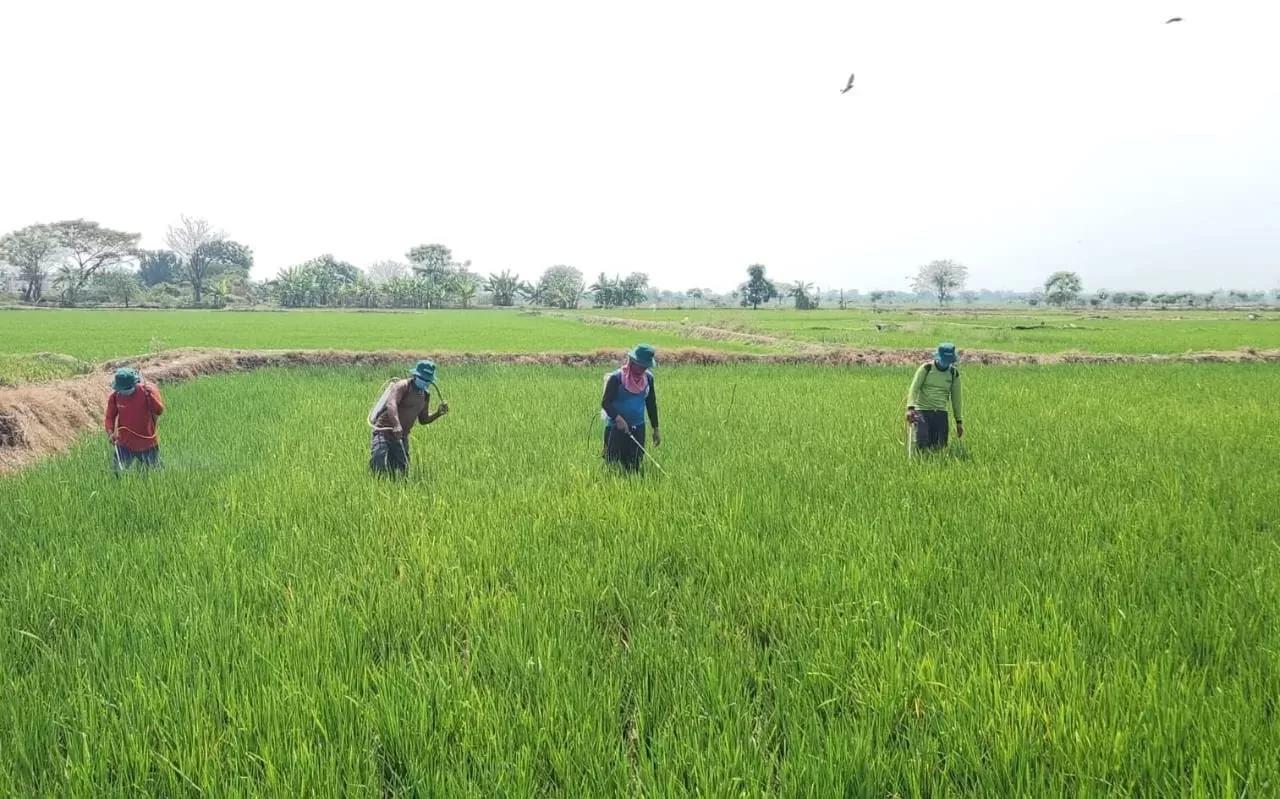 WhatsApp Image 2025-07-06 at 00.51.39