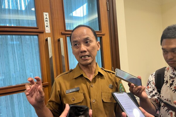 WhatsApp Image 2025-07-06 at 02.46.45