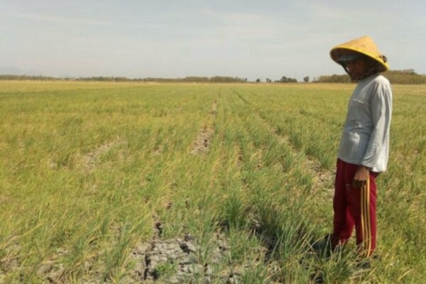 WhatsApp Image 2025-07-06 at 08.55.22