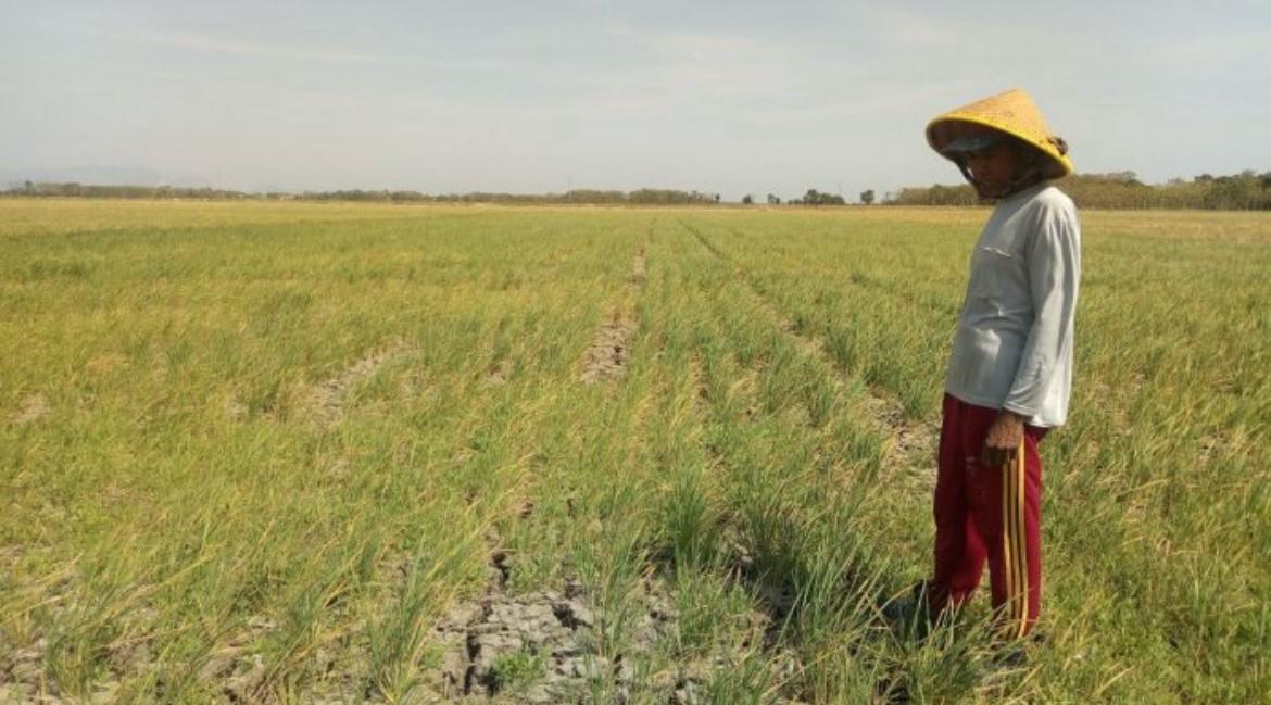 WhatsApp Image 2025-07-06 at 08.55.22