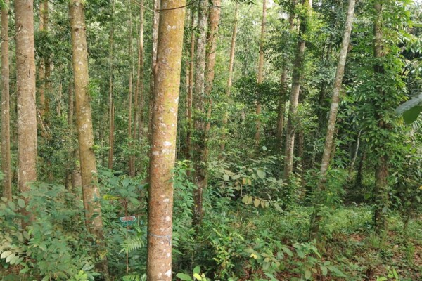 WhatsApp Image 2025-10-20 at 16.31.46