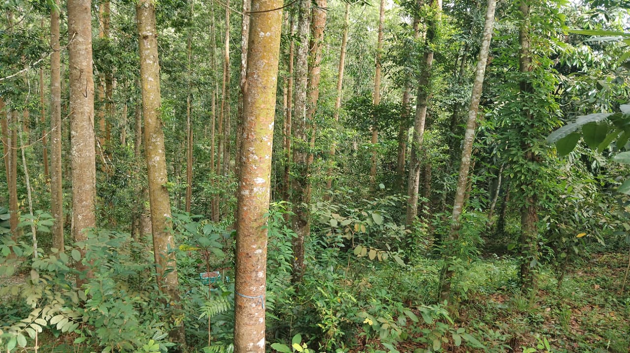 WhatsApp Image 2025-10-20 at 16.31.46