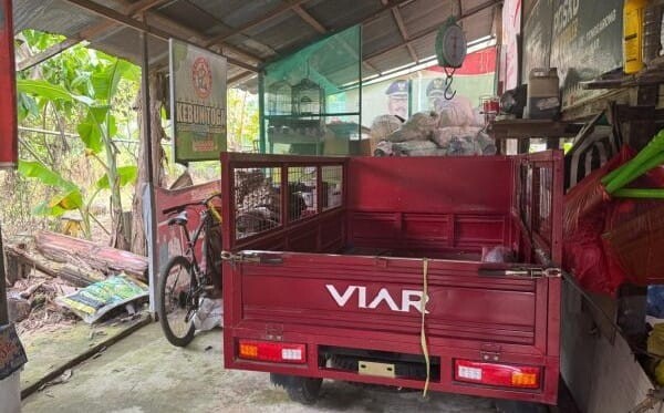 WhatsApp Image 2025-10-25 at 11.10.37