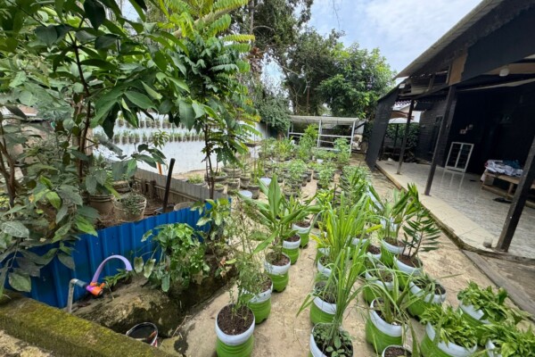 WhatsApp Image 2025-10-25 at 11.15.31