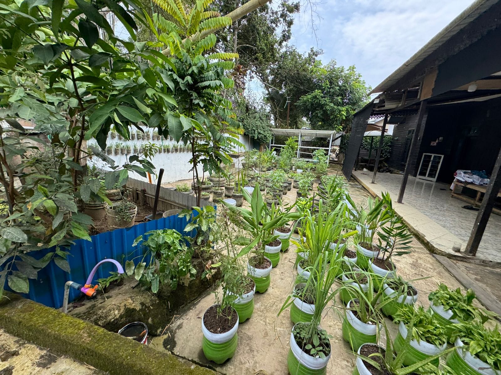 WhatsApp Image 2025-10-25 at 11.15.31