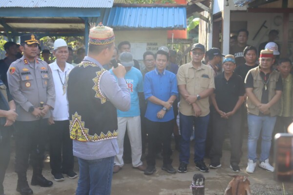 WhatsApp Image 2025-10-26 at 20.14.52