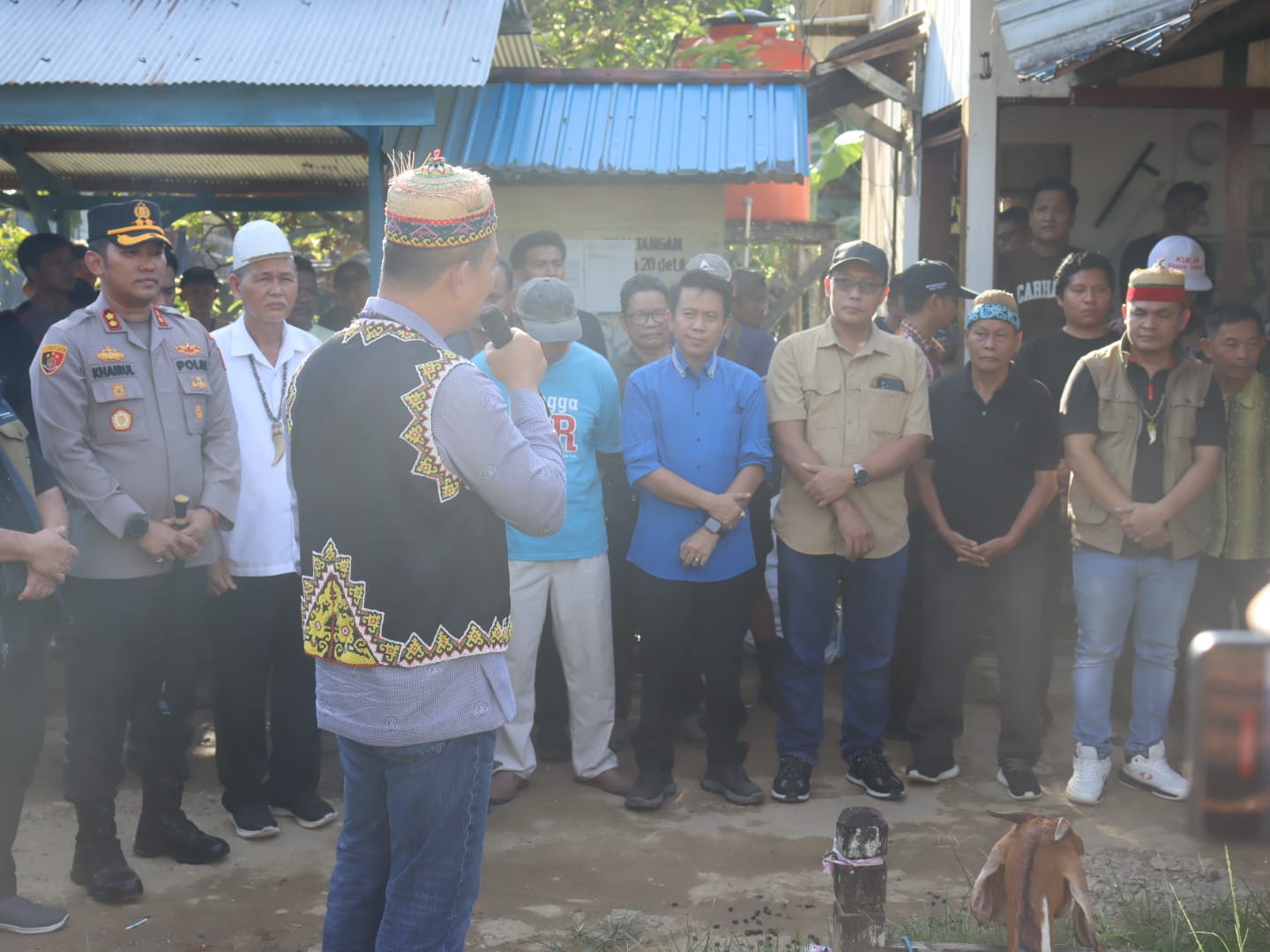 WhatsApp Image 2025-10-26 at 20.14.52