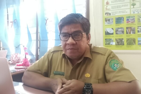 WhatsApp Image 2025-10-30 at 12.54.15