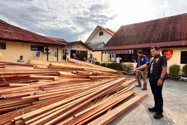 IMG_20251118_180848-min