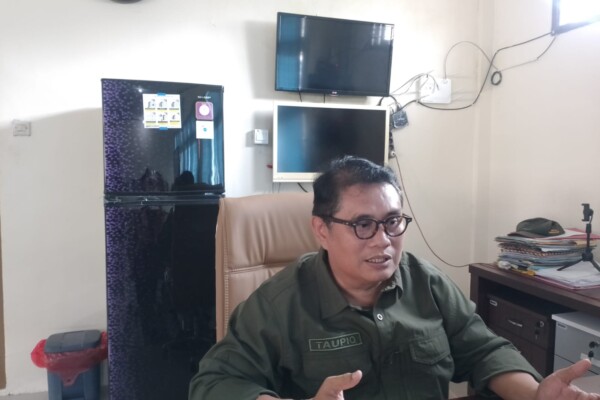 WhatsApp Image 2025-11-01 at 18.15.31