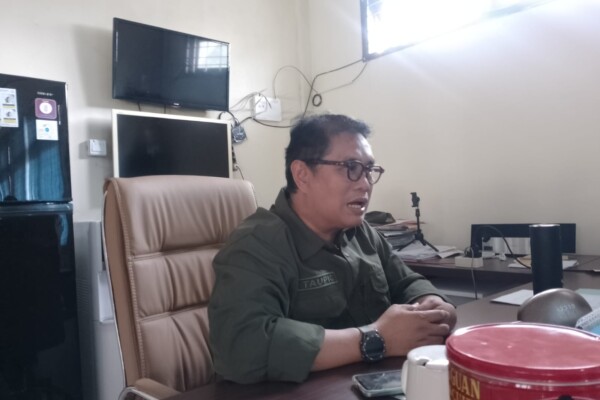 WhatsApp Image 2025-11-01 at 18.15.32 (1)