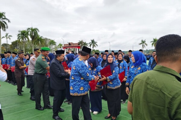 795e3881-3f38-4ef7-89b4-31cd606df7d1