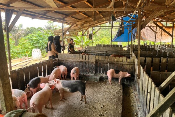 Screenshot_20251210-161331