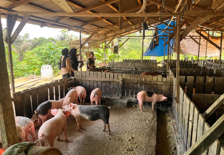 Screenshot_20251210-161331