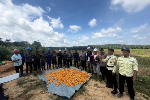 b458162b-4ac5-4656-9a4b-055eb80bb542