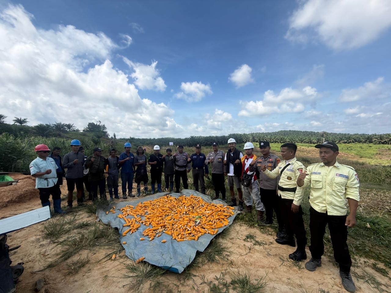 b458162b-4ac5-4656-9a4b-055eb80bb542