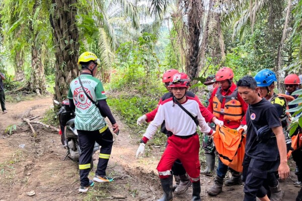 b8585b5d-4aa7-4673-ba39-75084d8bc295